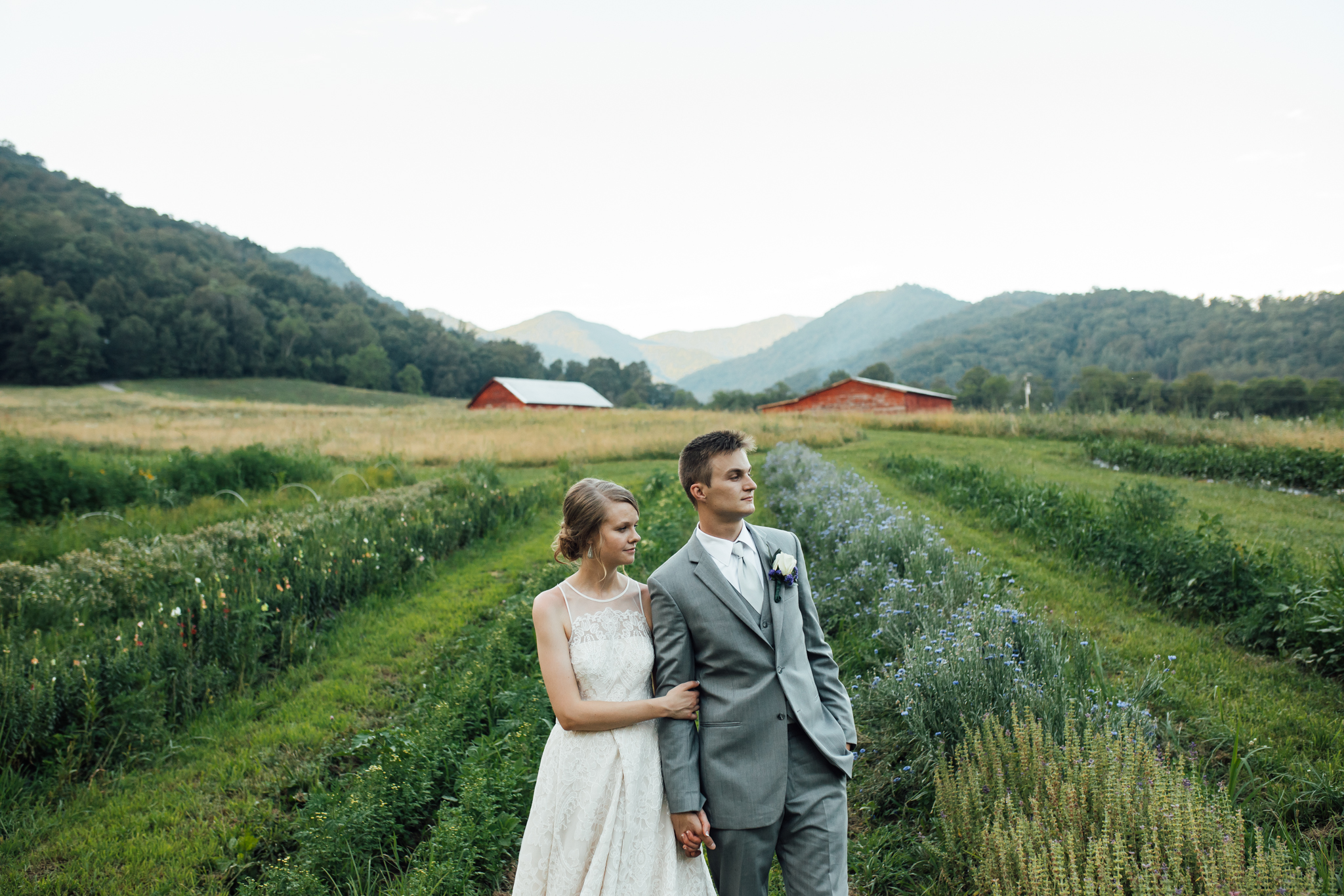 ashville-wedding-photographers-thewarmtharoundyou--backyard-asheville-wedding-mountain-wedding (189 of 244).jpg