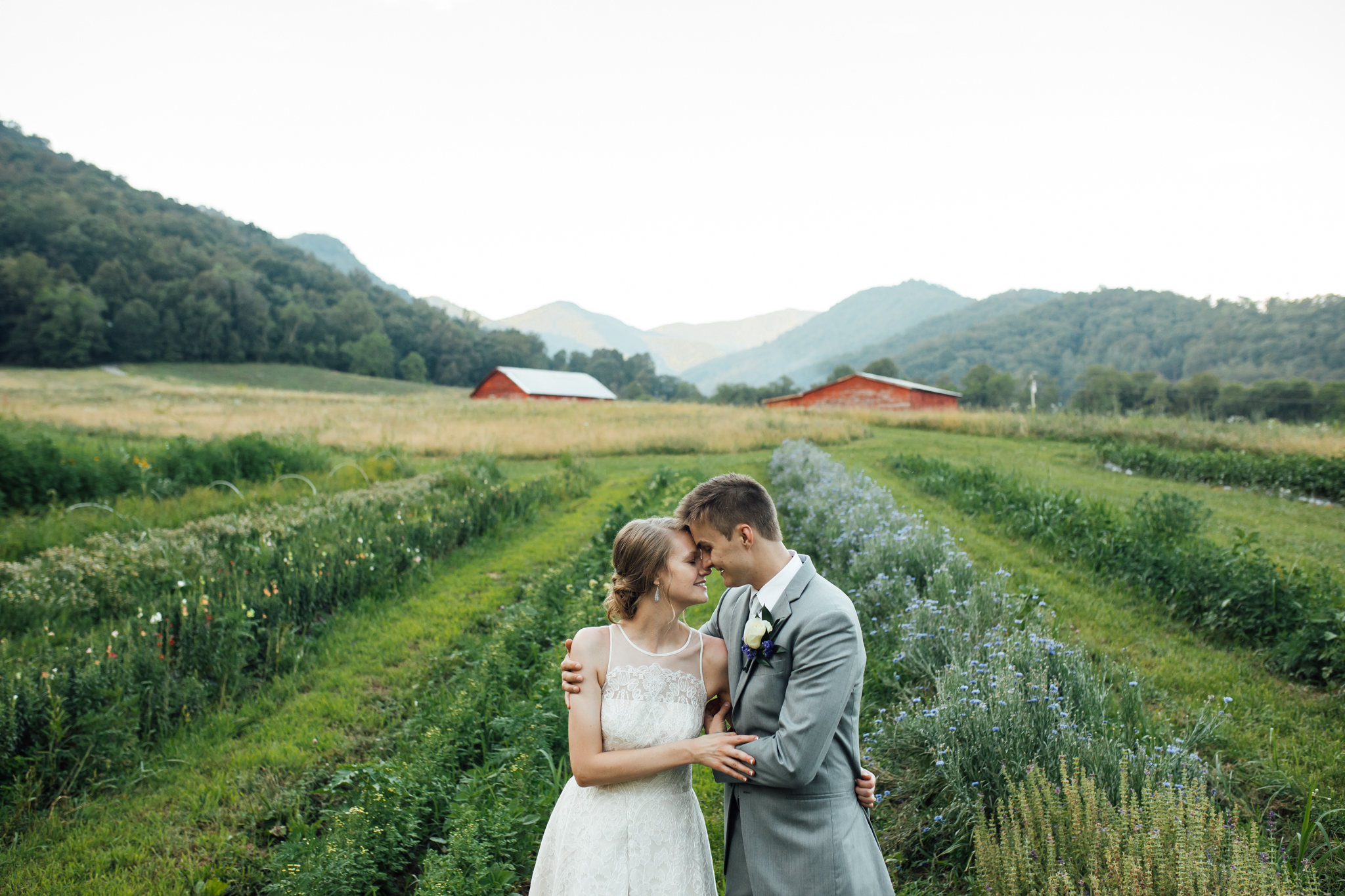 ashville-wedding-photographers-thewarmtharoundyou--backyard-asheville-wedding-mountain-wedding (196 of 244).jpg