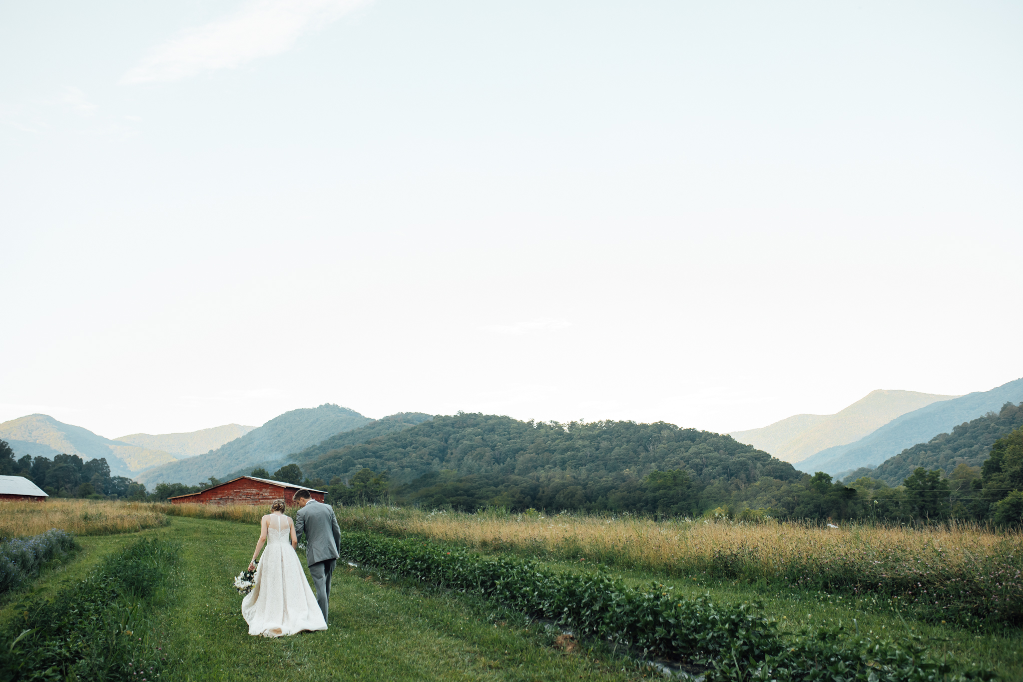 ashville-wedding-photographers-thewarmtharoundyou--backyard-asheville-wedding-mountain-wedding (203 of 244).jpg