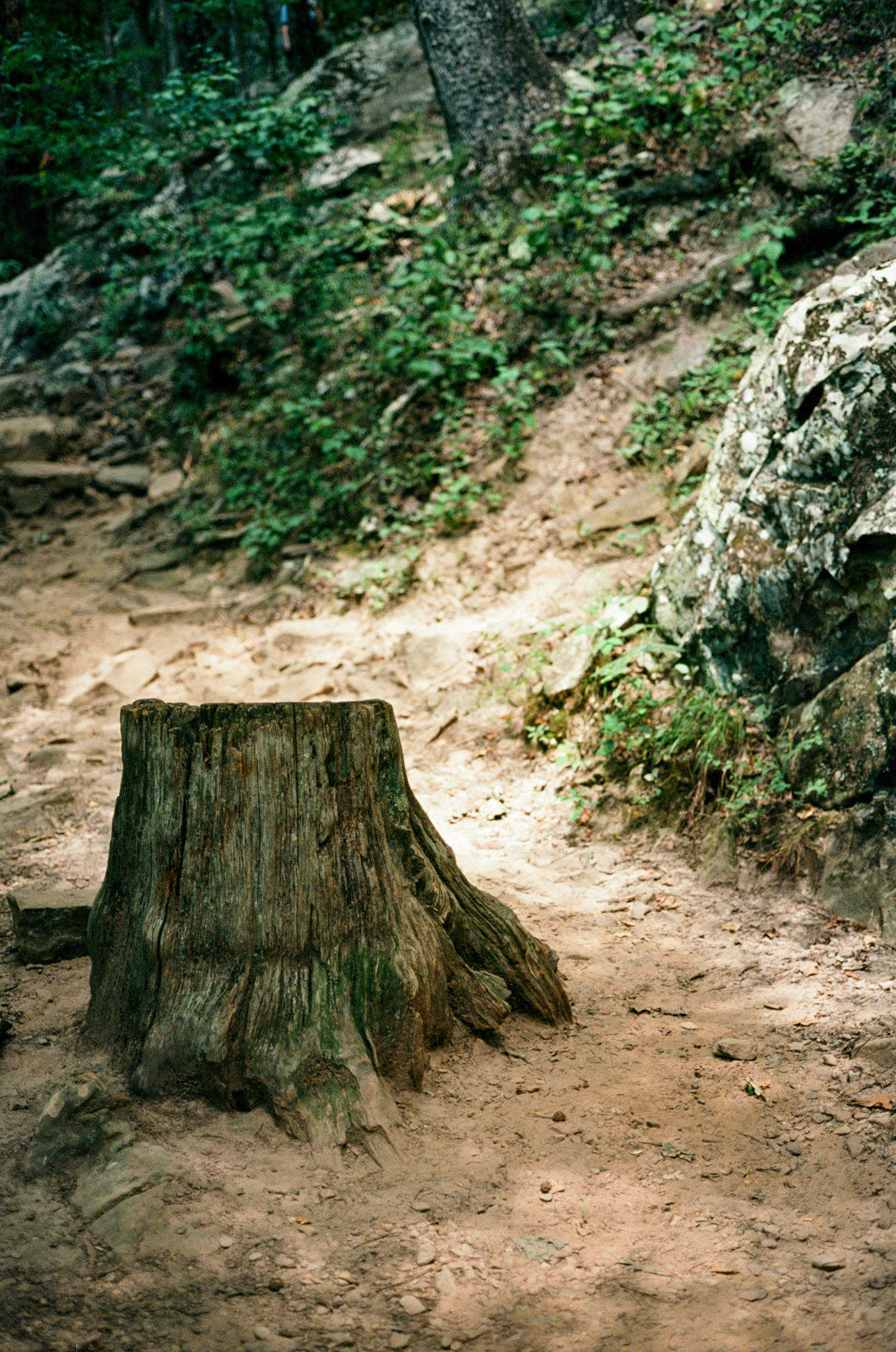 petit-jean-stgate-park-film-thewarmtharoundyou-camping-trip (36 of 37).jpg