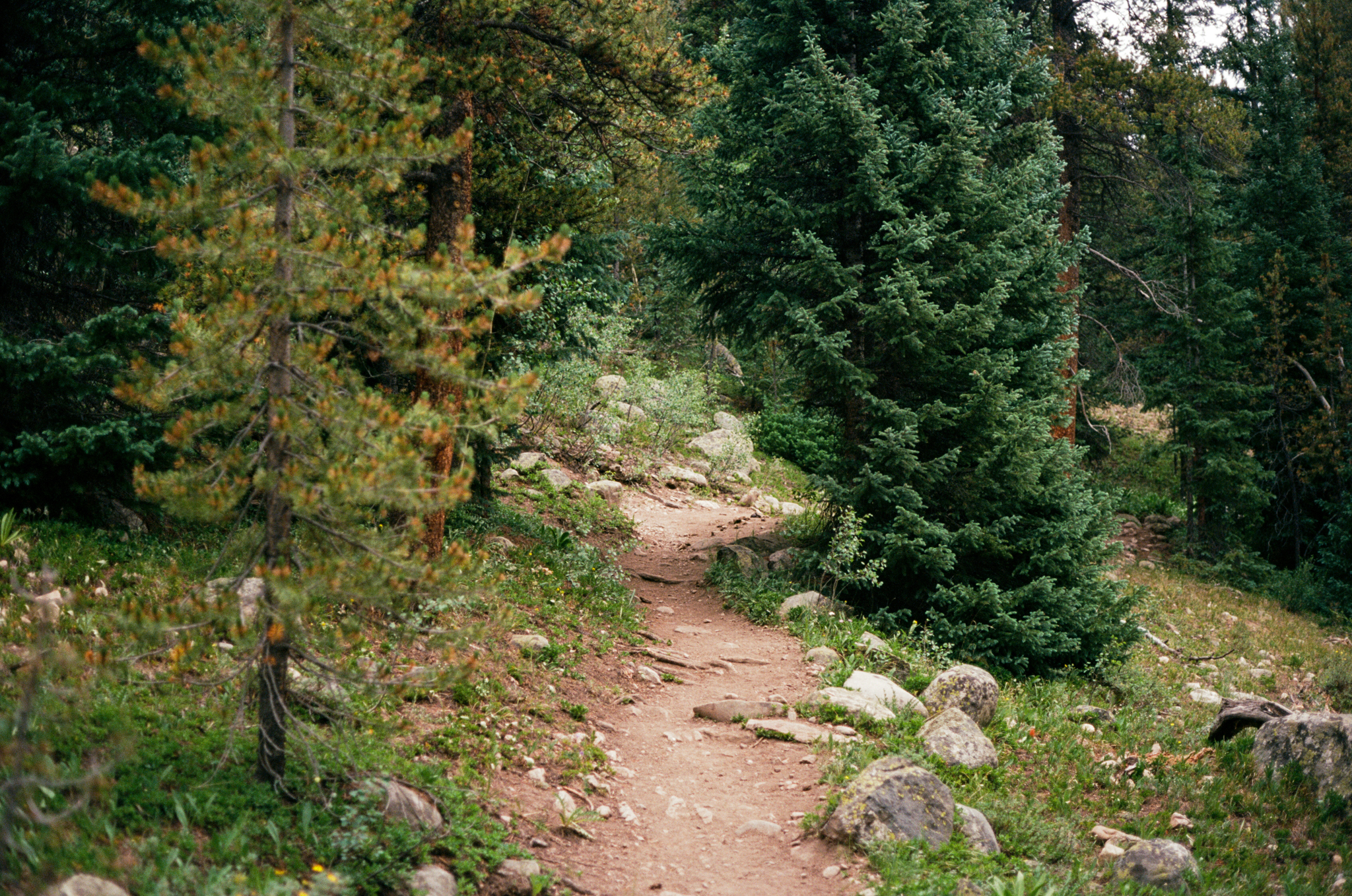 twin-lakes-colorado-wedding-photographer-aspen-thewarmtharoundyou (15 of 43).jpg