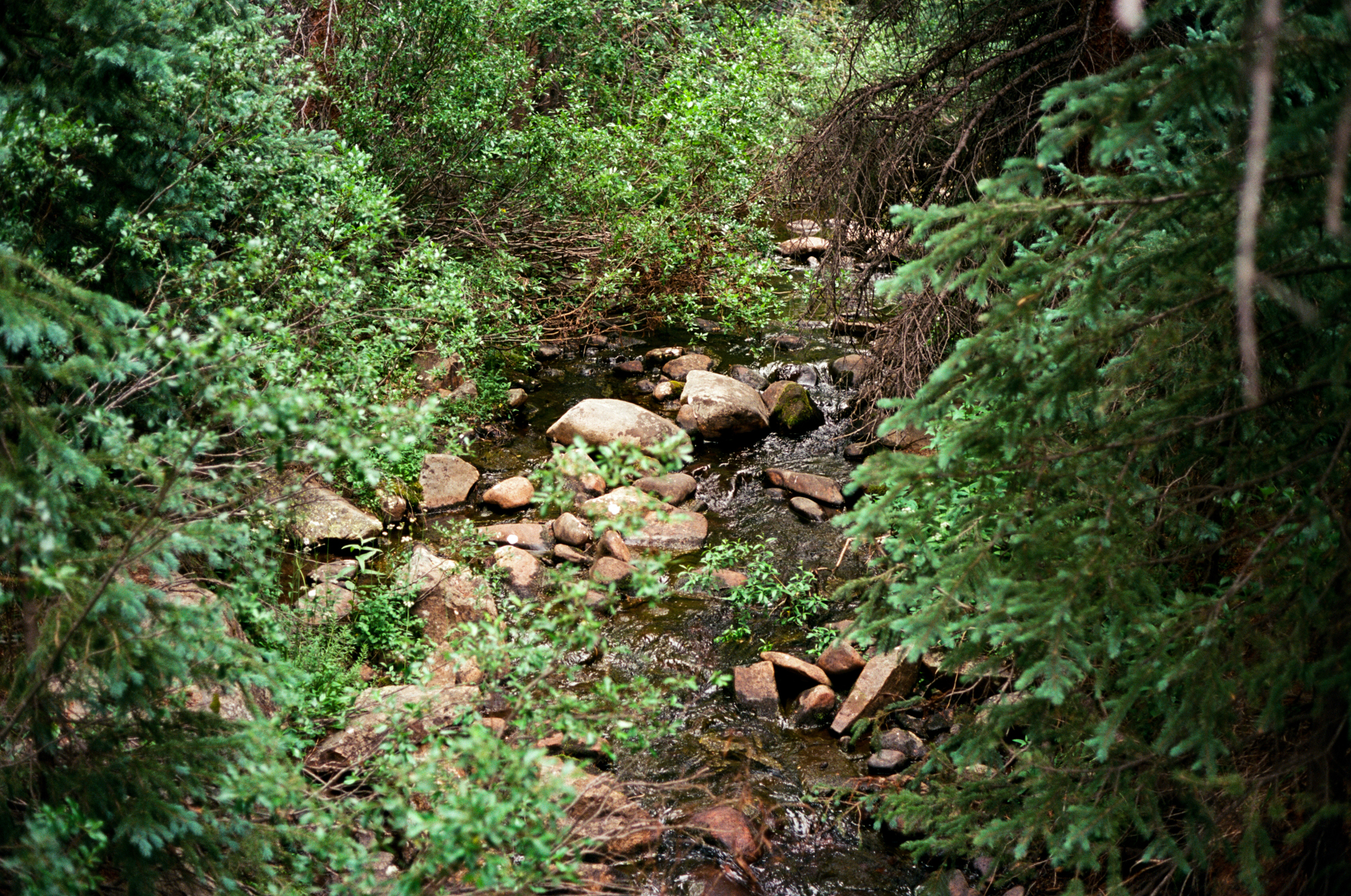 twin-lakes-colorado-wedding-photographer-aspen-thewarmtharoundyou (14 of 43).jpg