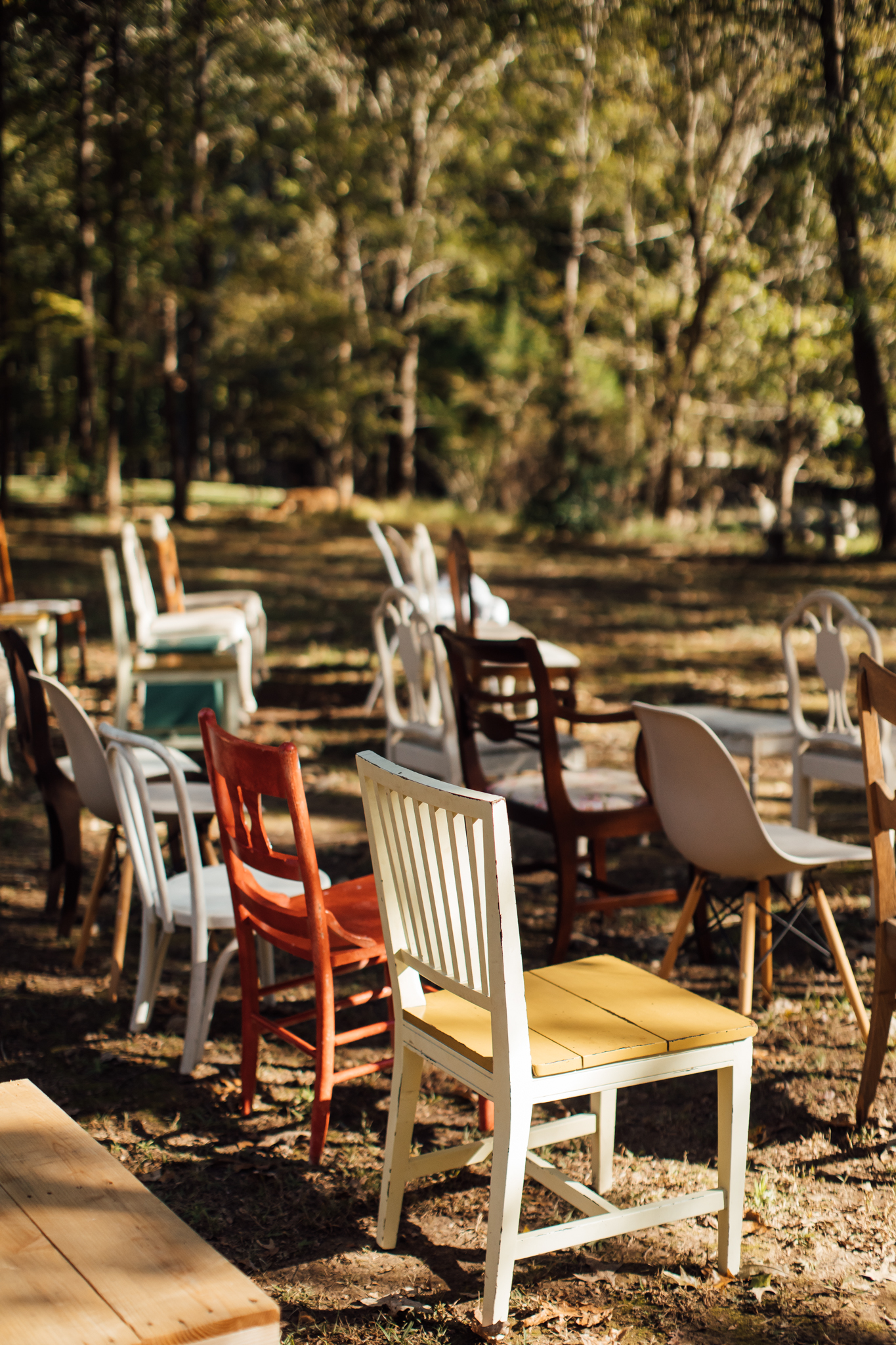 fall-backyard-wedding-memphis-wedding-photographers-thewarmtharoundyou (9 of 181).jpg