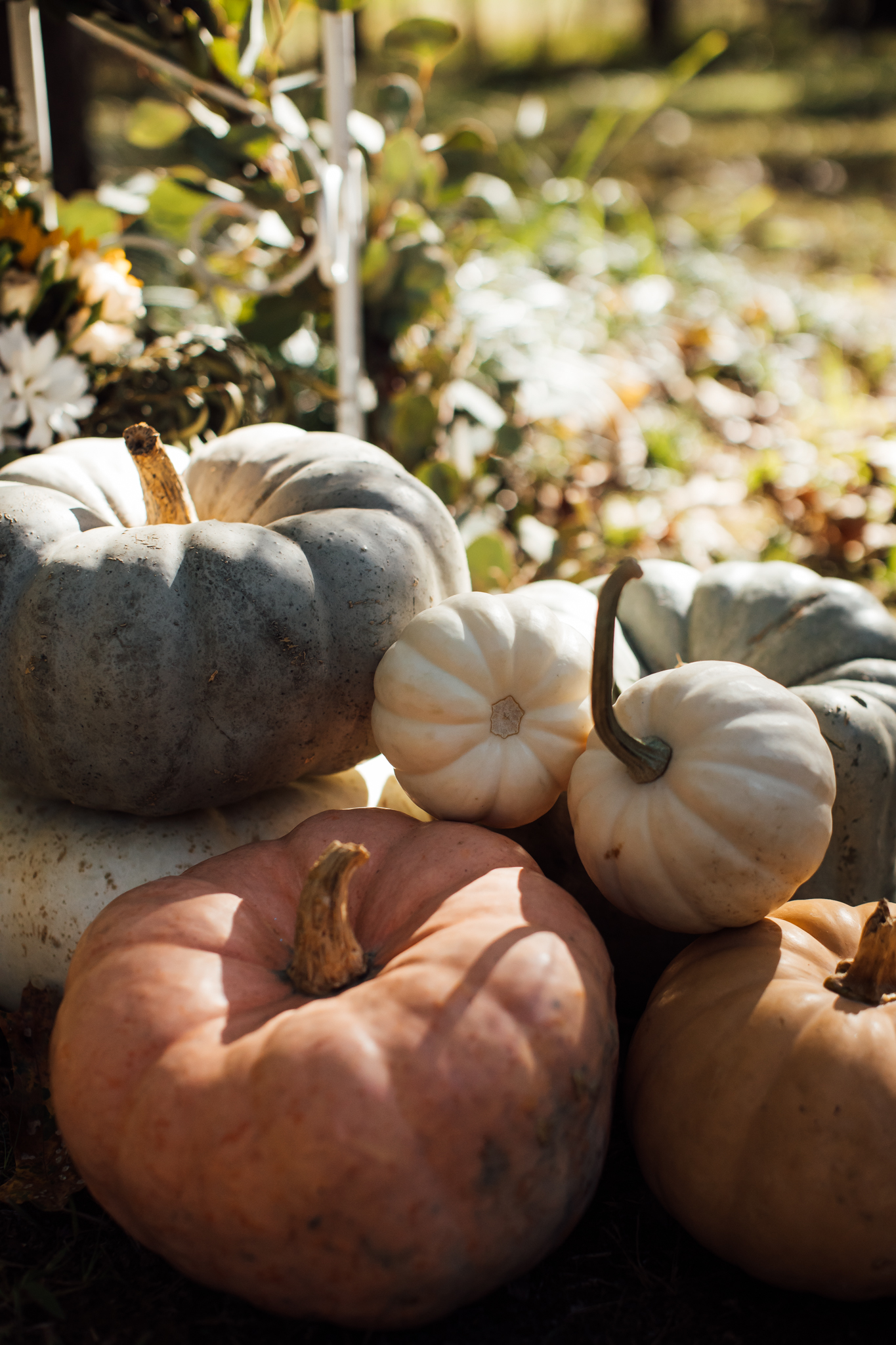 fall-backyard-wedding-memphis-wedding-photographers-thewarmtharoundyou (5 of 181).jpg