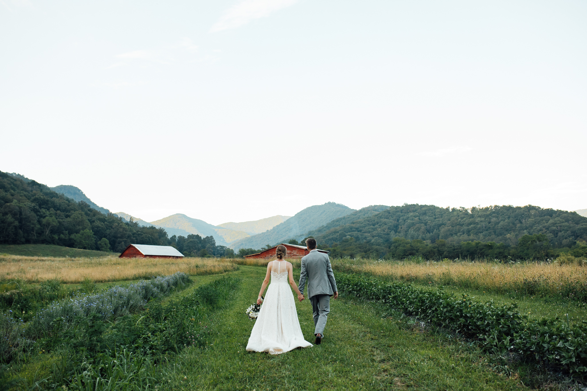 ashville-wedding-photographers-thewarmtharoundyou--backyard-asheville-wedding-mountain-wedding (201 of 244).jpg