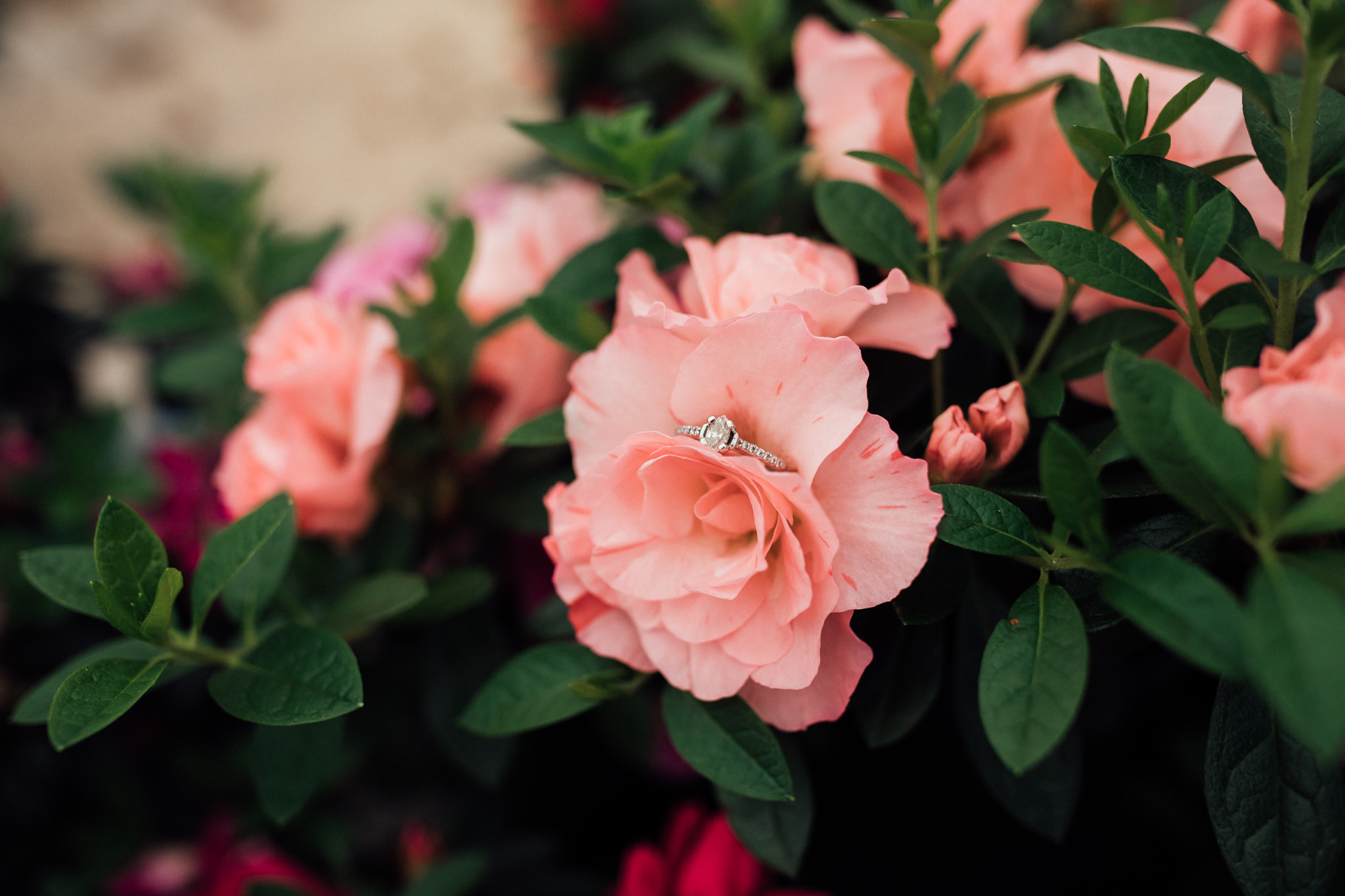 memphis-engagement-photographer-thewarmtharoundyou-greenhouse-engagement-pictures (94 of 118).jpg