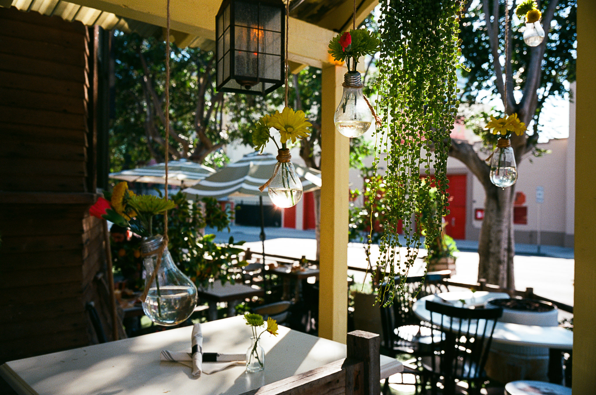 san-diego-wedding-photographers-thewarmtharoundyou-film-photographers (387 of 44).jpg