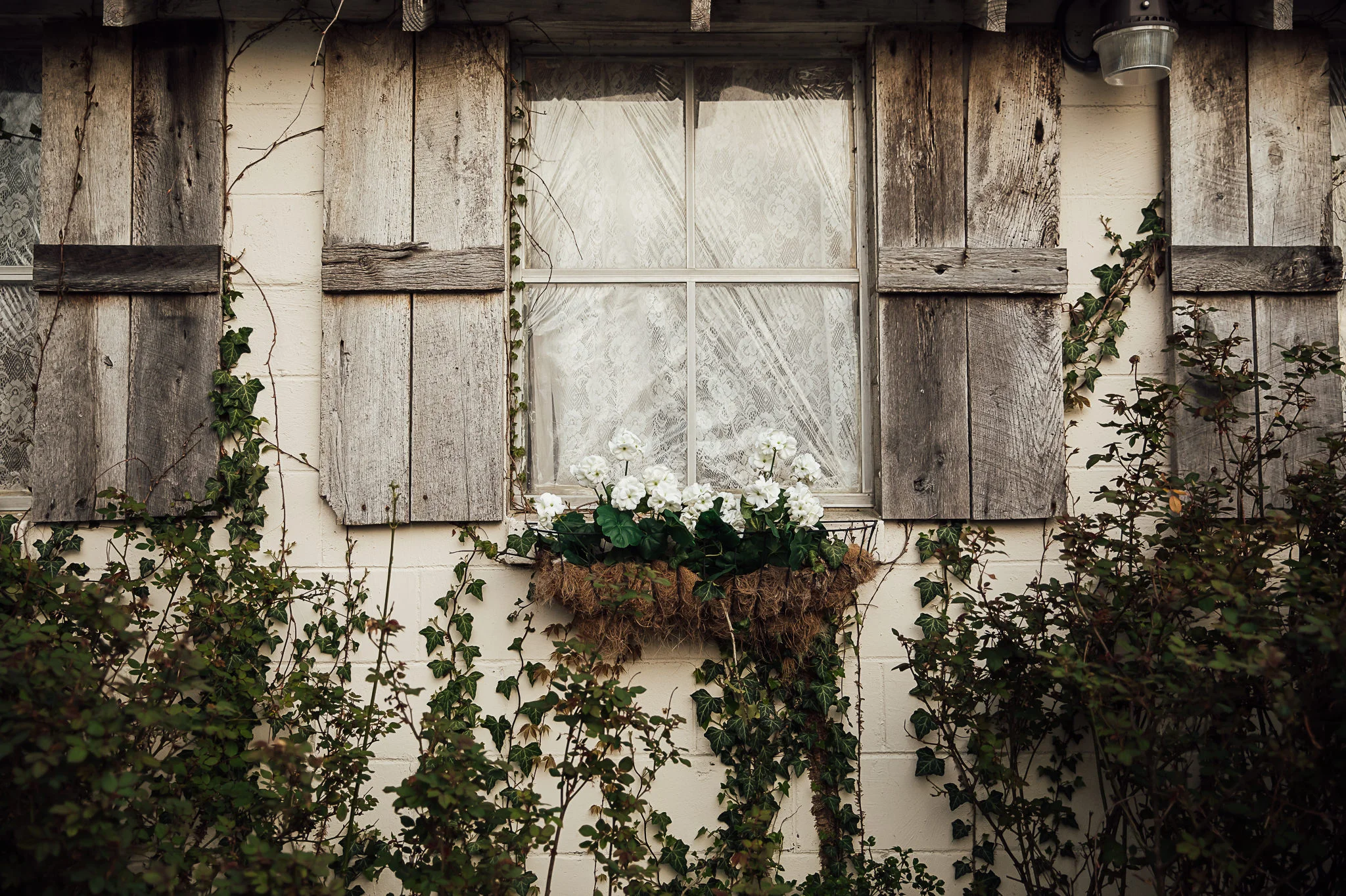 meadow-hills-farm-thewarmtharoundyou-memphis-wedding-photographers (227 of 266).jpg