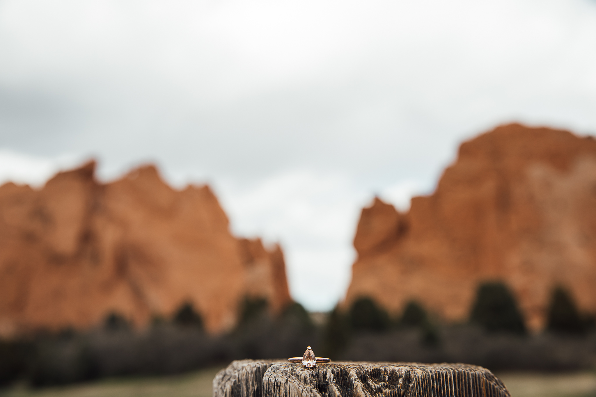 Elizabeth-and-Ryan-GardenoftheGods-Thewarmtharoundyou-7.jpg