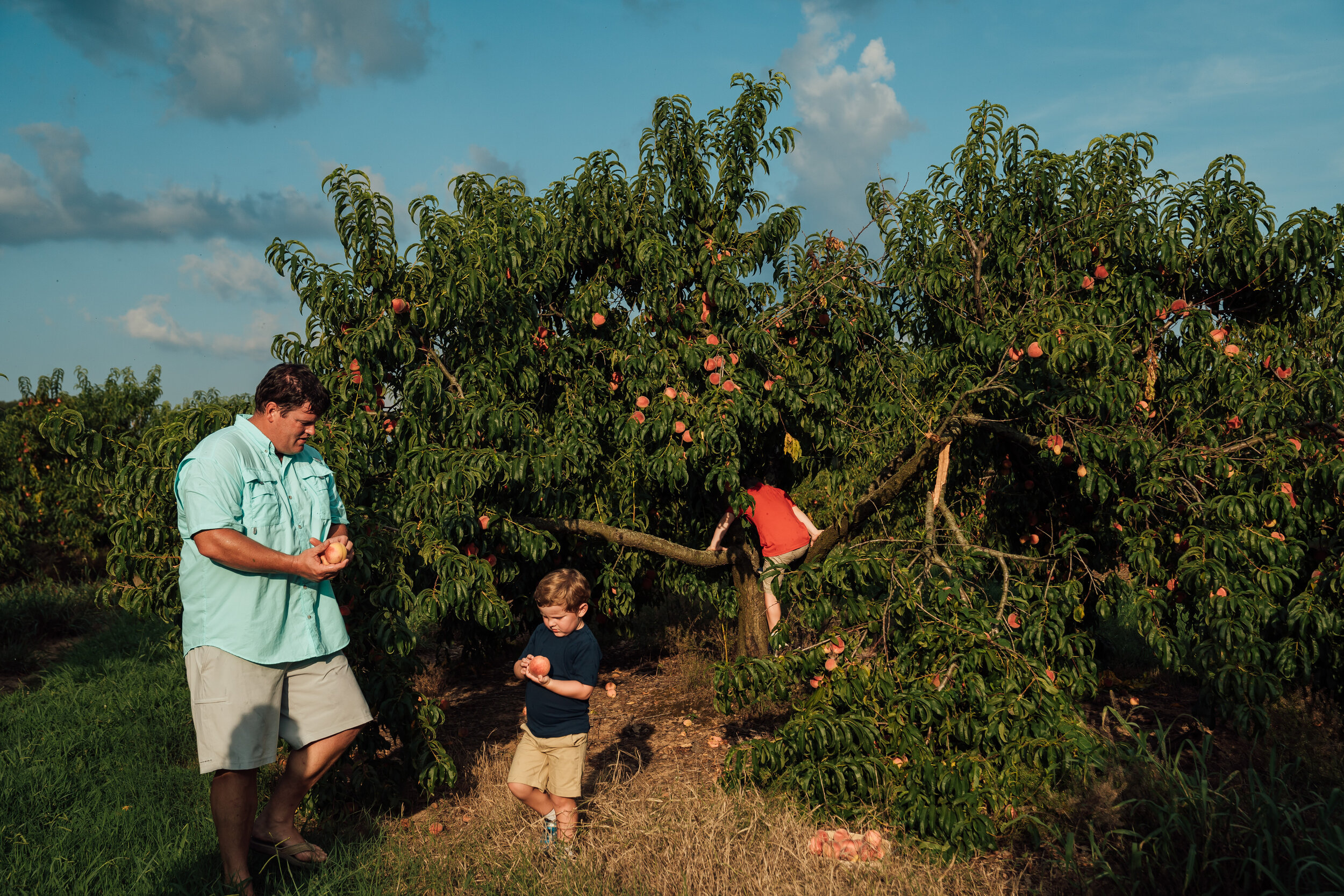 jones-orchard-family-photos-34.jpg