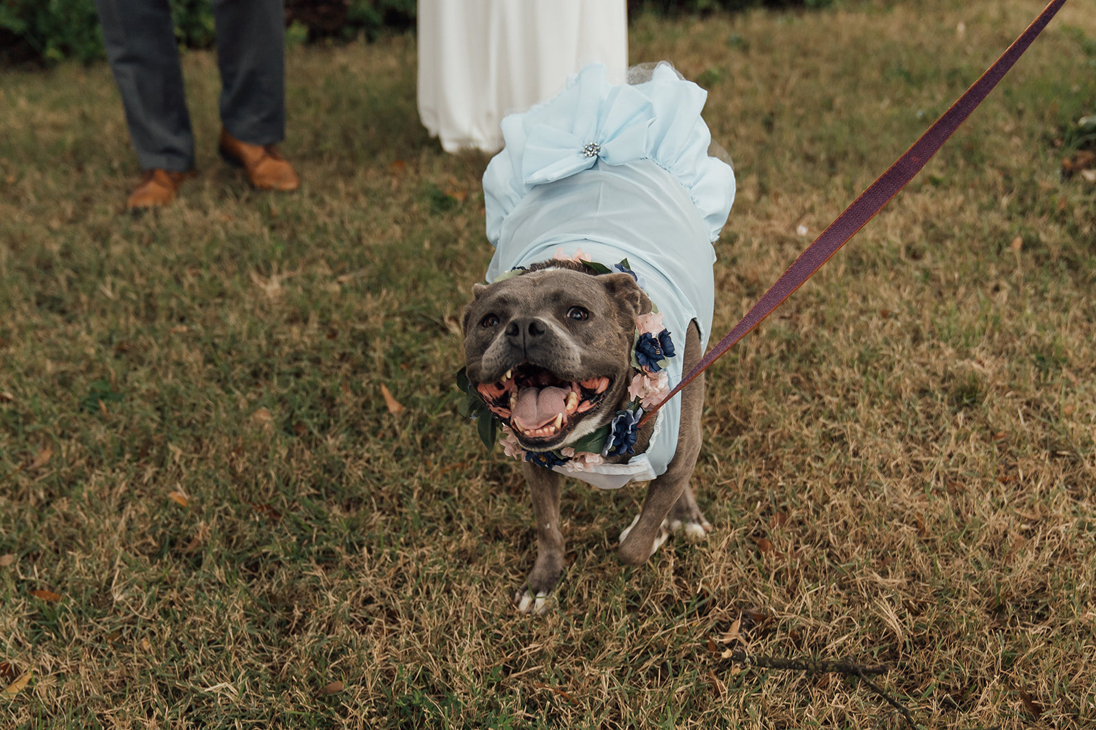 mud-island-elopement-kenn-kelsey-thewarmtharoundyou-393.jpg