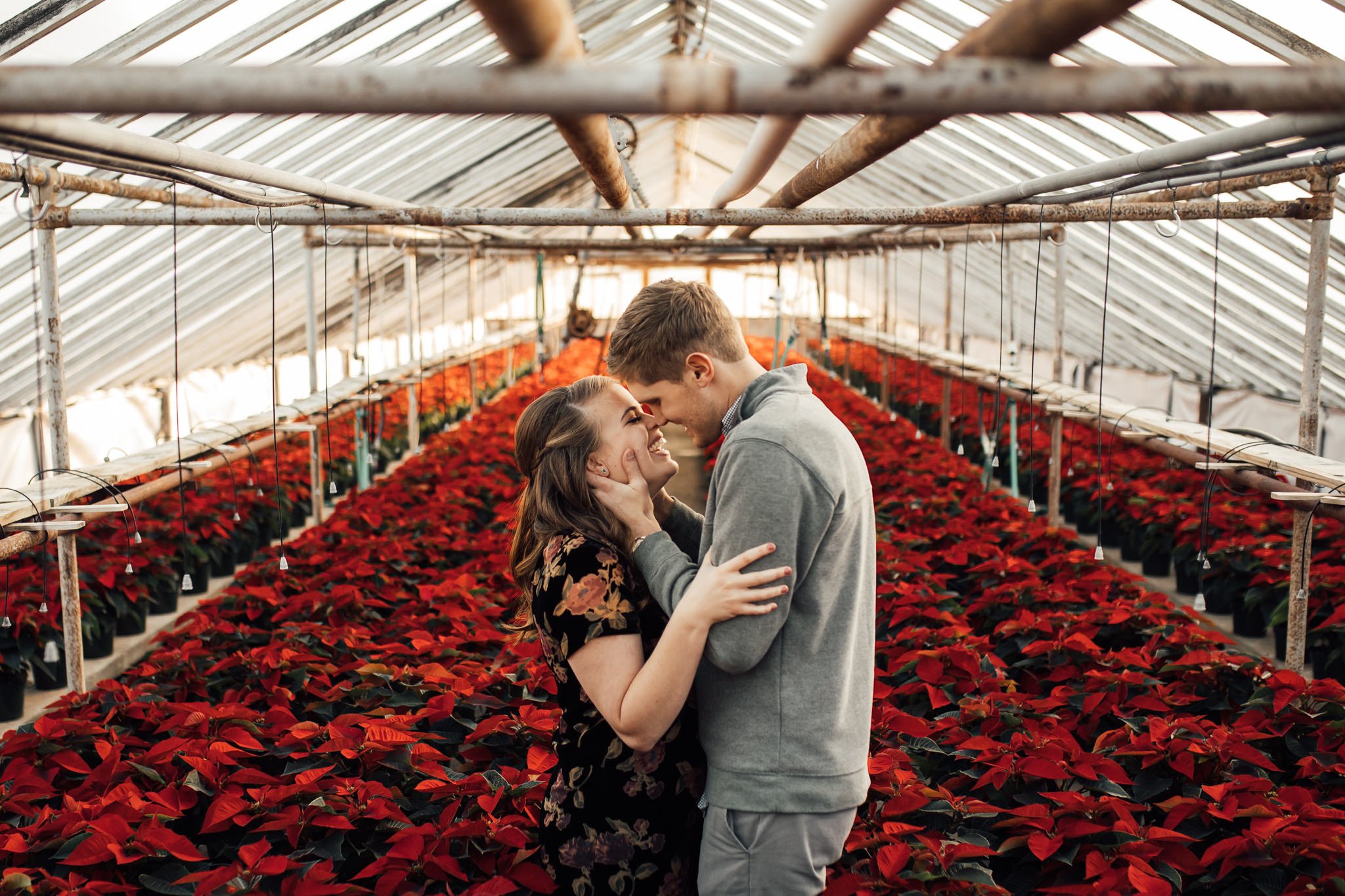 memphis-wedding-photographer-cassie-cook-photography-greenhouse-engagement-photoshoot-5.jpg