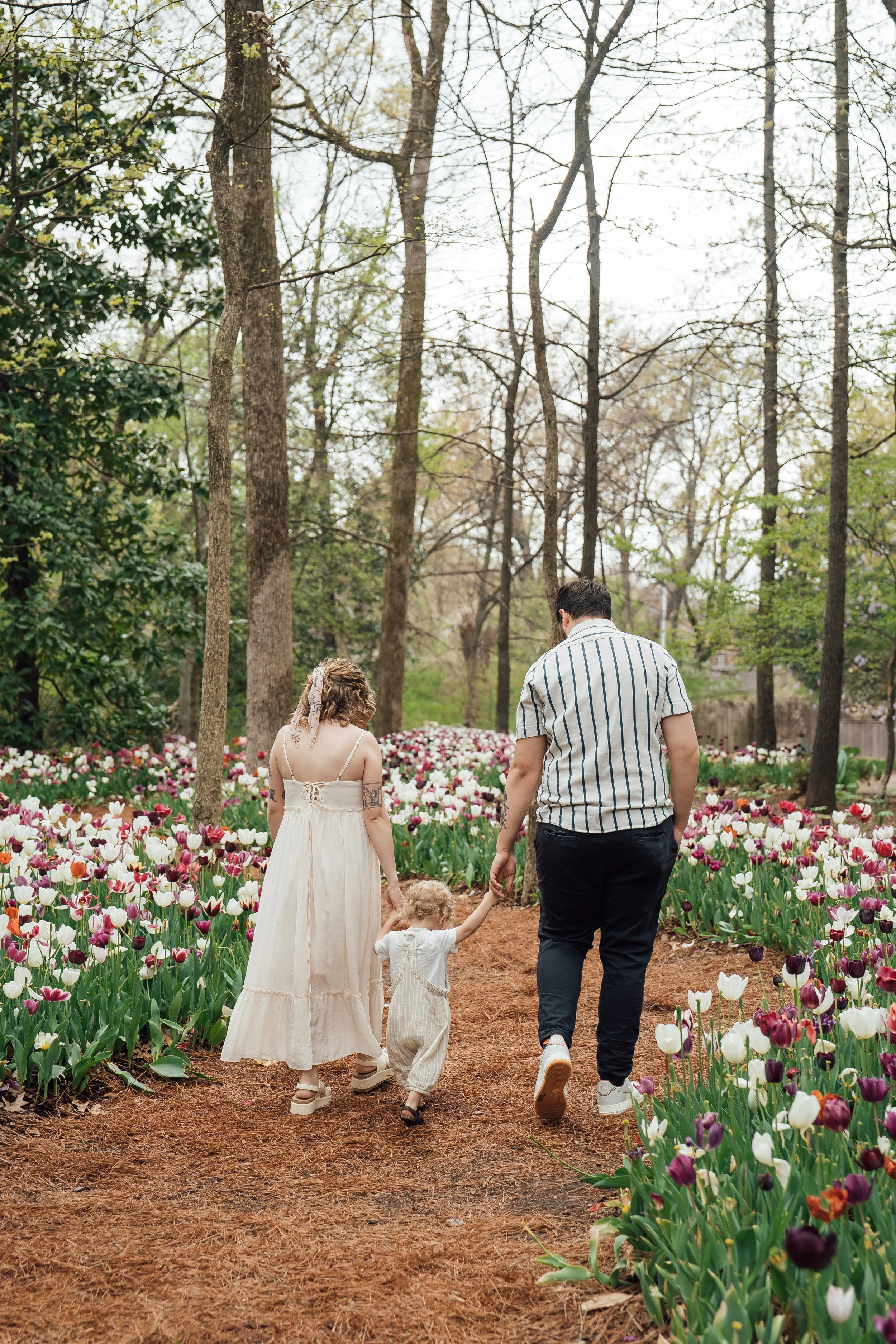 thewarmtharoundyou-dixon-gardens-tulips-family-myers--8.jpg