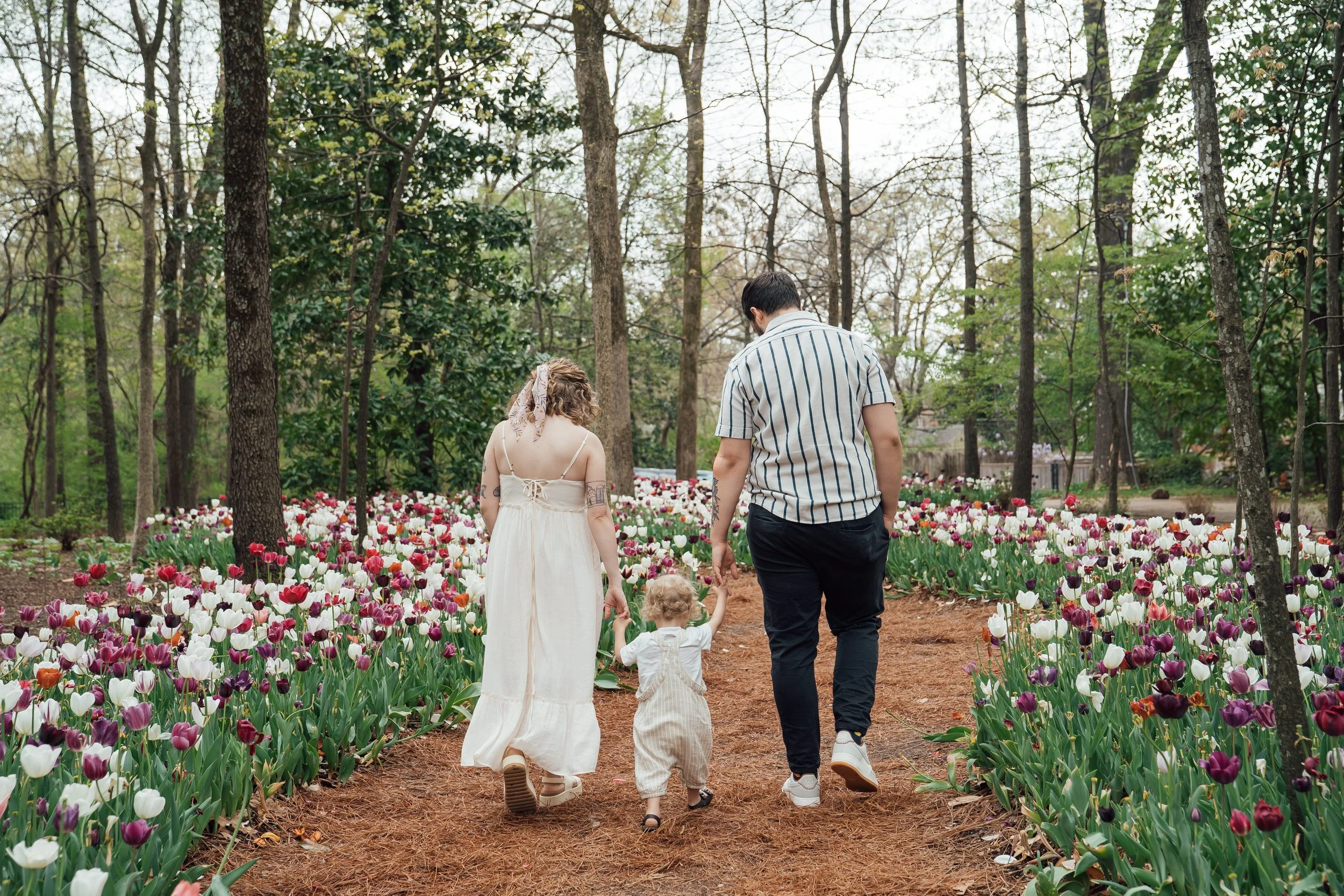 thewarmtharoundyou-dixon-gardens-tulips-family-myers--18.jpg