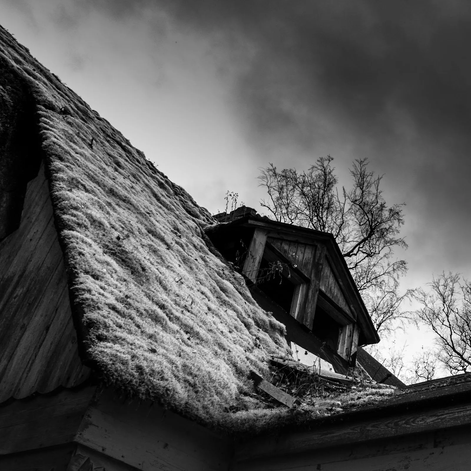Kruunuvuori abandoned villas