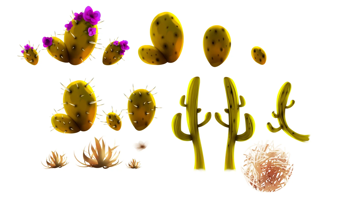 Cactuses.jpg