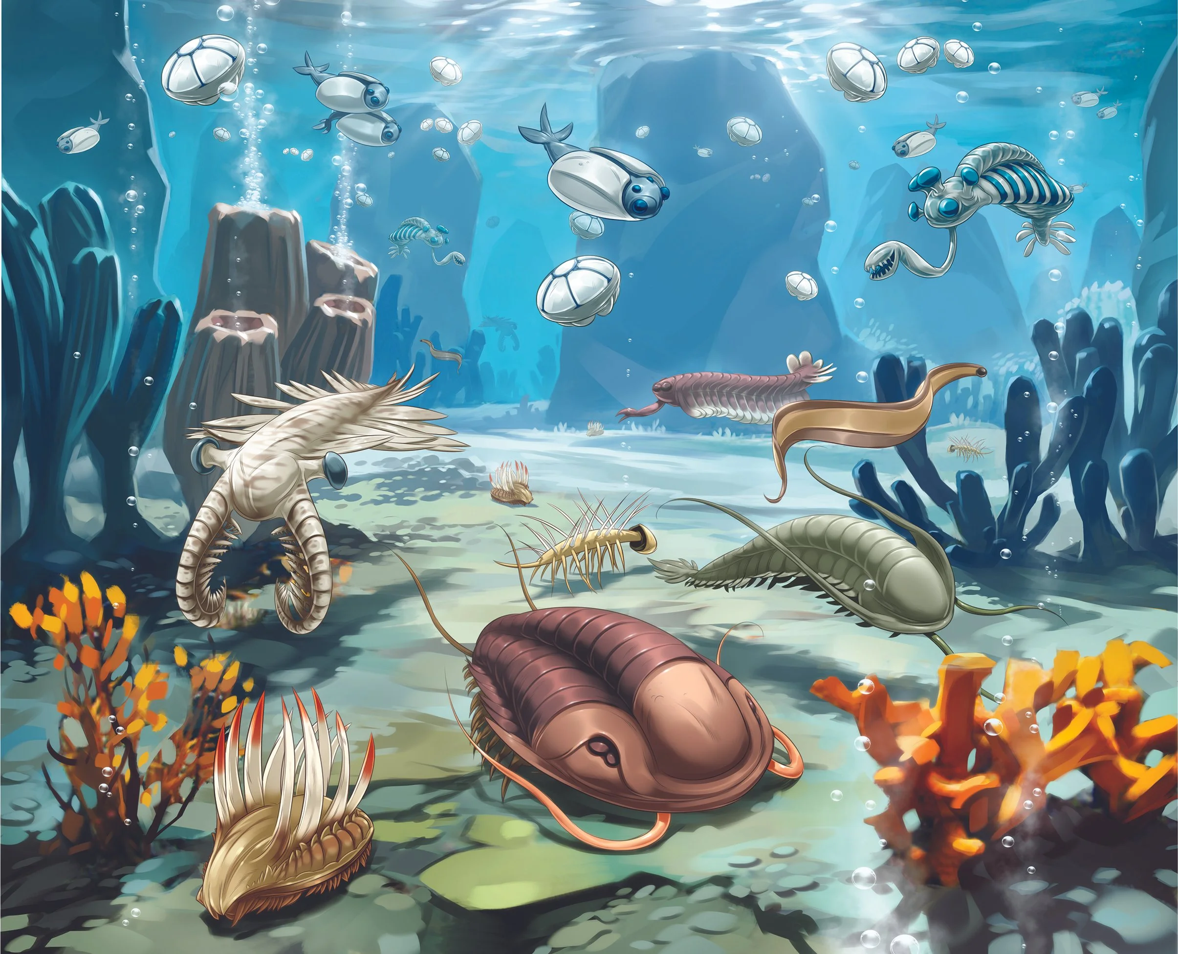 6_7P Cambrian Explosion ActualSize.jpg