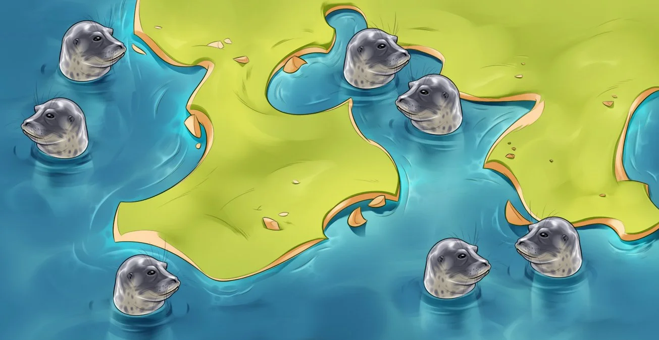 5_7P Seals Subpiecies v3.jpg