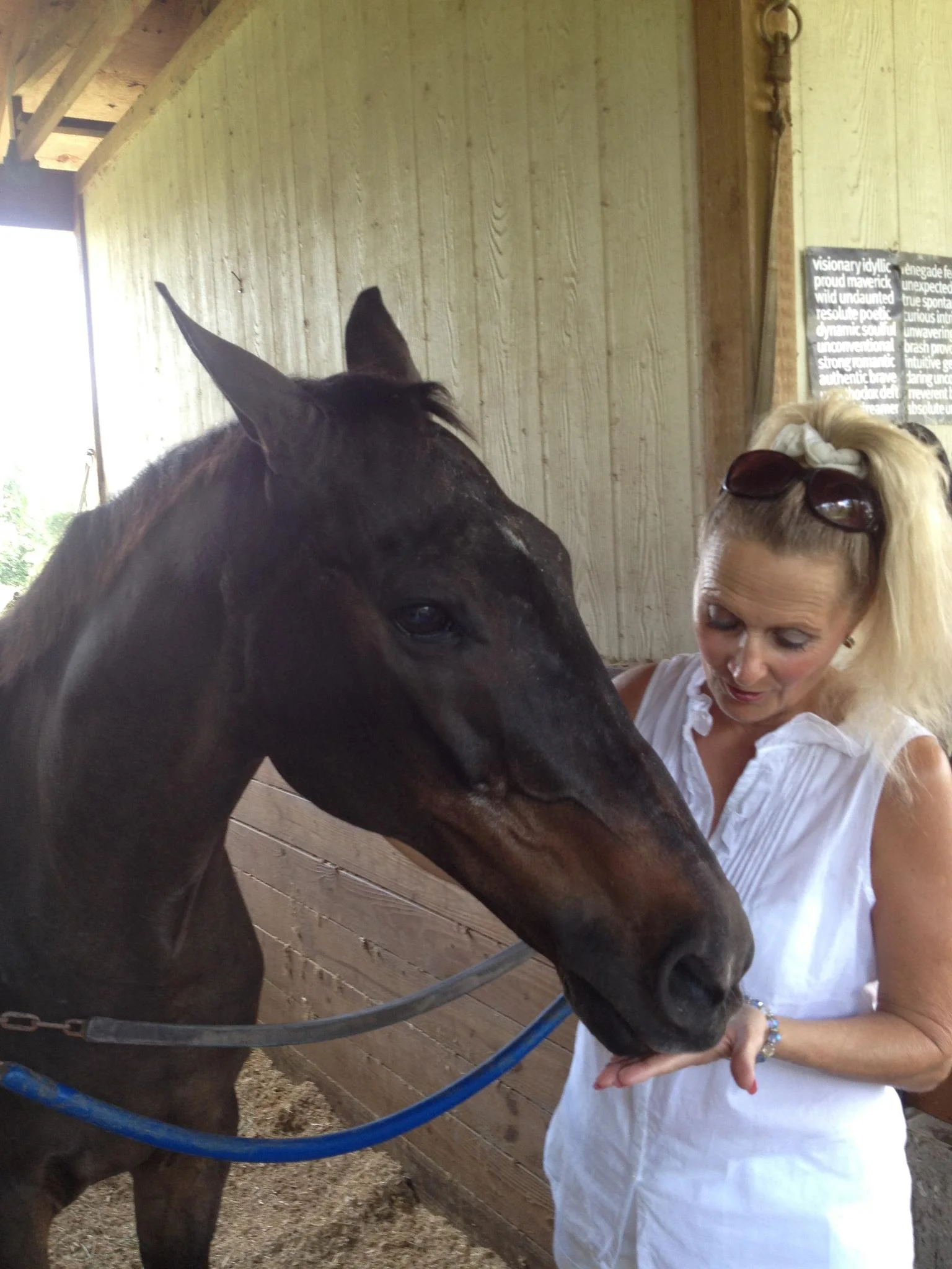About Laura — Laura Lassiter