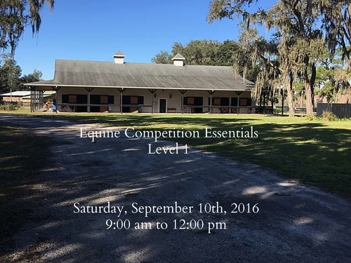 Equine Competition Essentials  Level 1