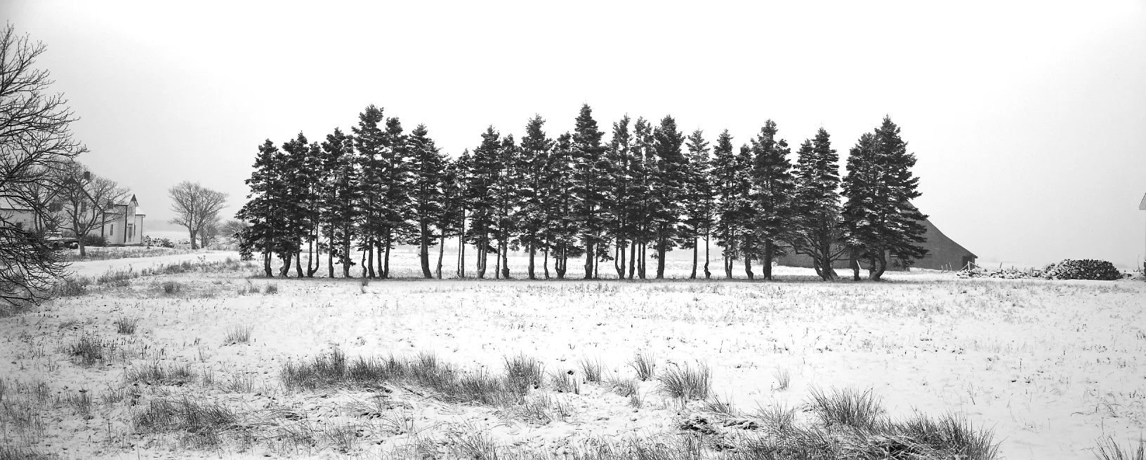 17_DYKLANDS 1984 IV-1.jpg