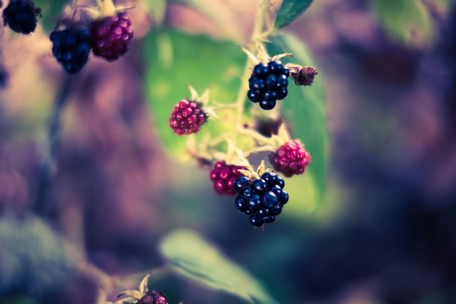 Learning in the 21st century