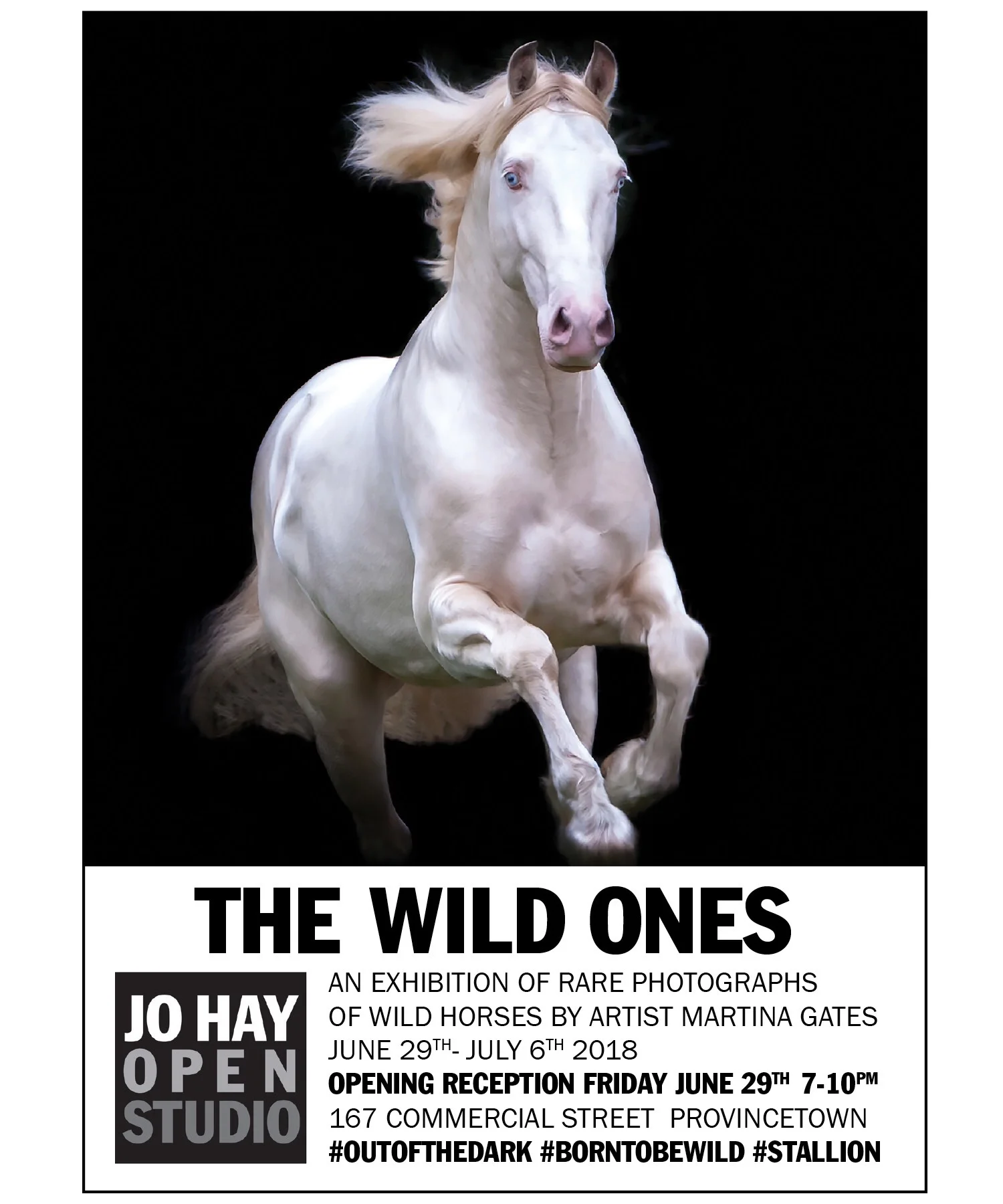 wild-ones-2018.jpg