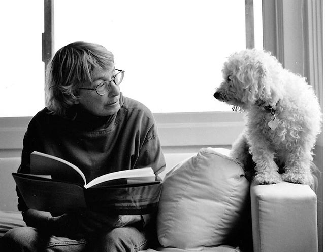 A true artist passed on today. Our little village of Provincetown, that you called home for 50 years  will miss you more than words can express. Sleep well Mary Oliver.