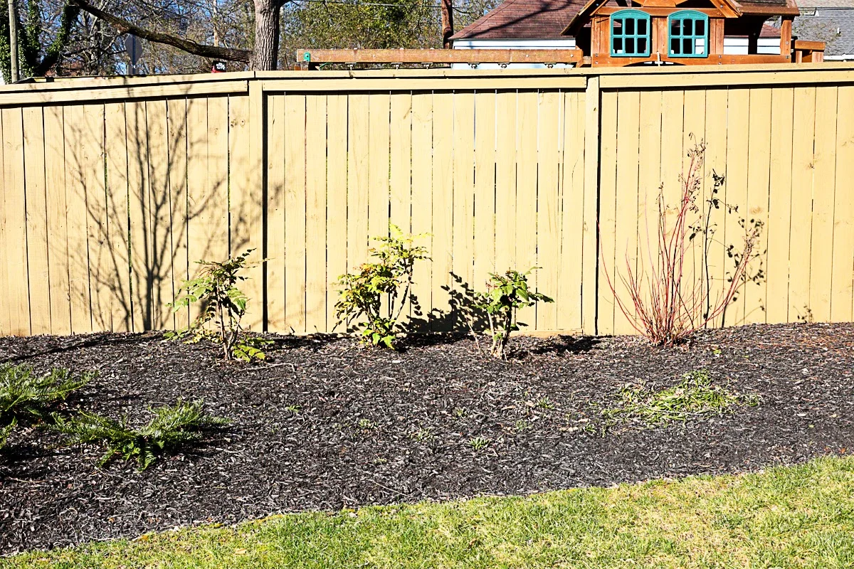 Light tan, cream, yellow outdoor fence in residential neighborhood - Residential painting by Nash Painting Nashville TN