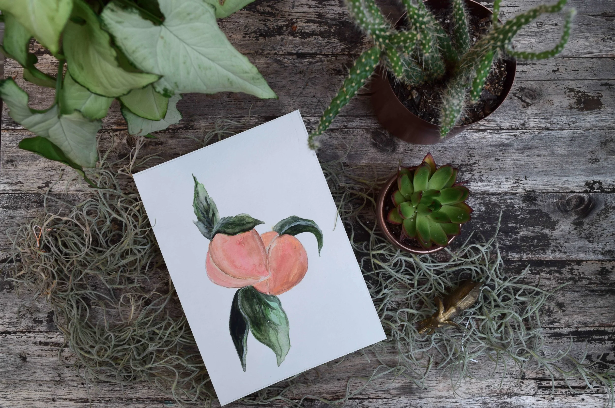 Peach Watercolor Art Print