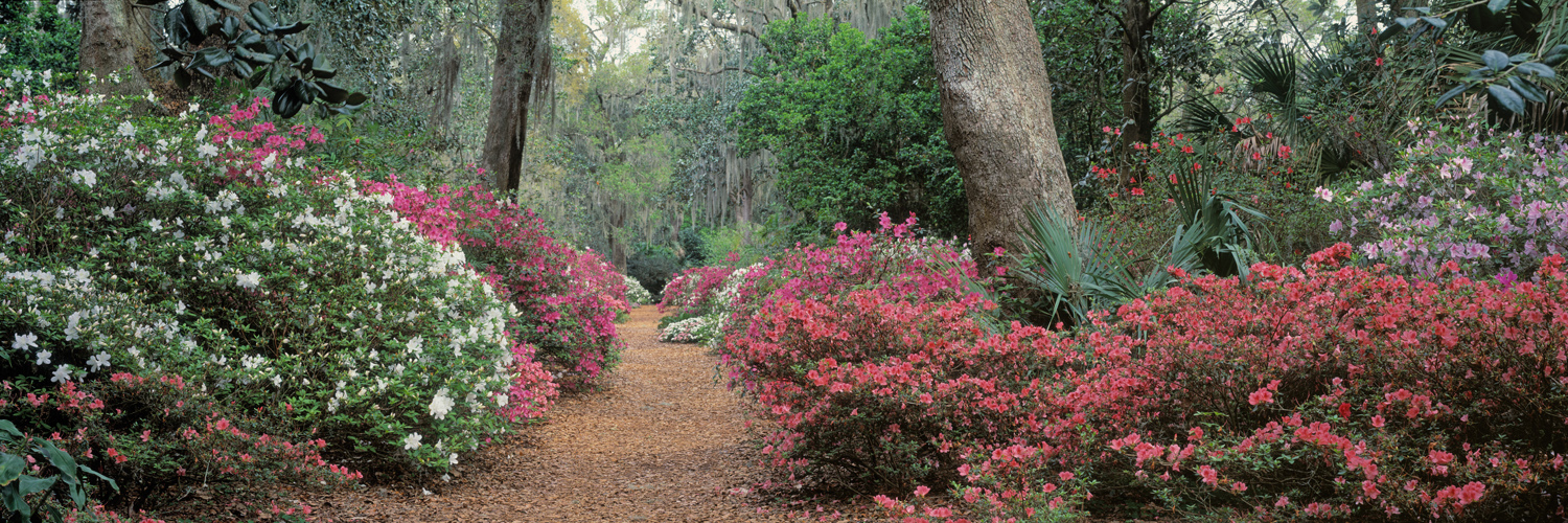 3719 Azalea Path