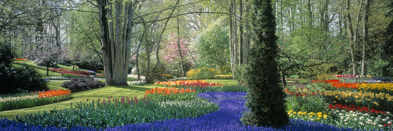3777 Springtime Garden