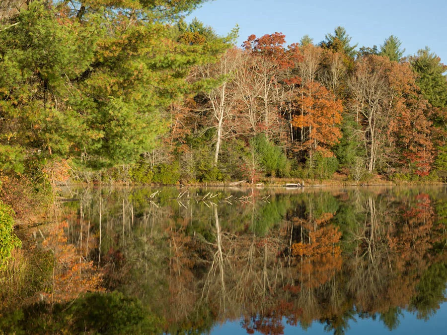 Calm Morning at the Lake 151633