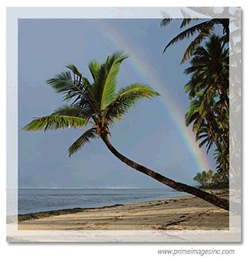 Here the 2 inch border is shown lighter than the actual image so you can see what we are talking about. On your canvas photograph the mirrored border matches the actual image in color and tone.