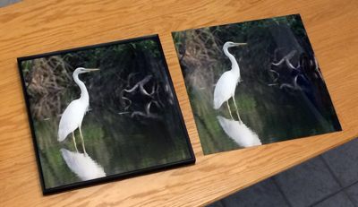 We find that our images printed directly onto acrylic panels have a vivid and three dimensional look just as photographic prints that are face mounted onto acrylic using an adhesive.