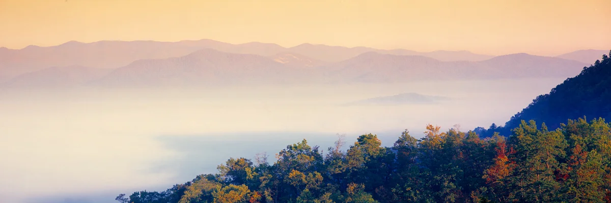 Blue Ridge Autumn Morning 7077