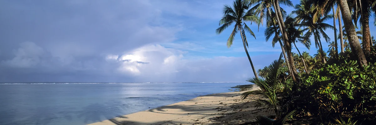 Fiji Coast 7309