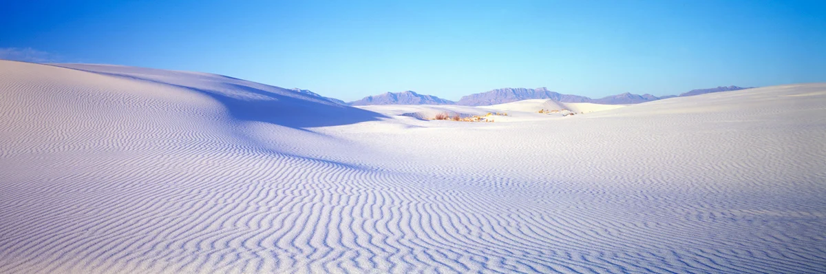 Dune Sands 3628