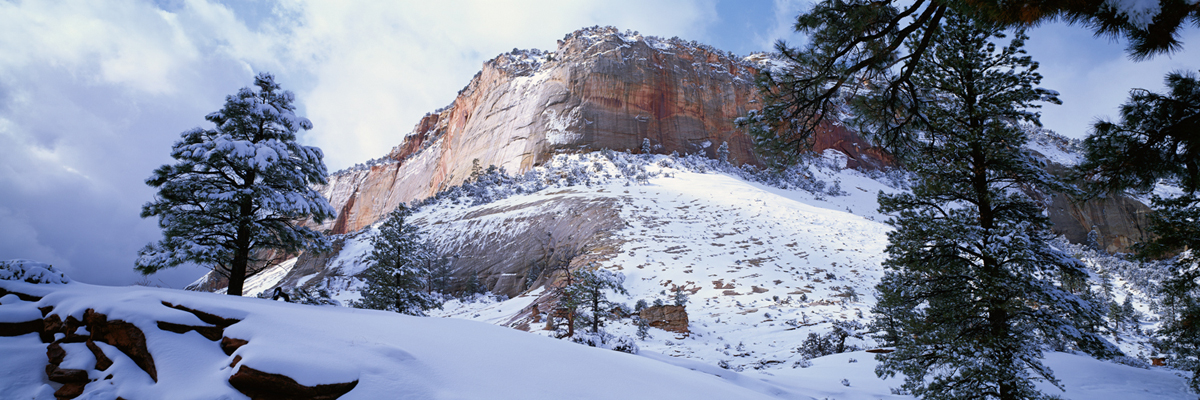 Zion Winter 7267