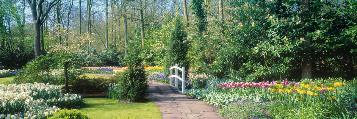 Inviting Walkway 3804