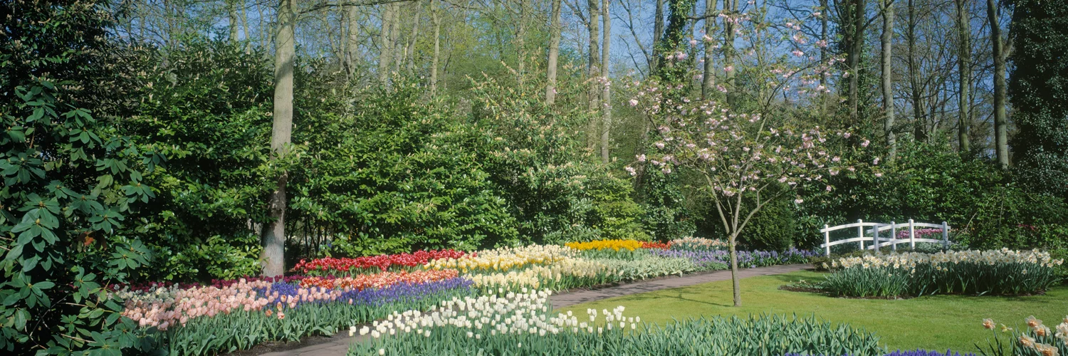 Garden Bridge 3806