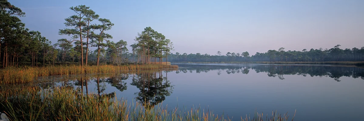 Still Waters 7287