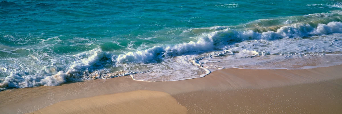 Wave Motions 3157