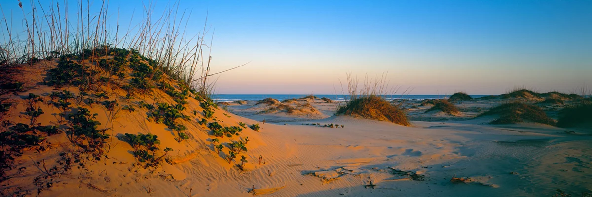 Padre Island Seashore 3252