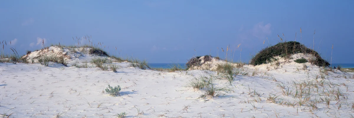 Dunes Early Light 7326
