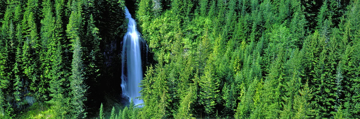 Distant Falls