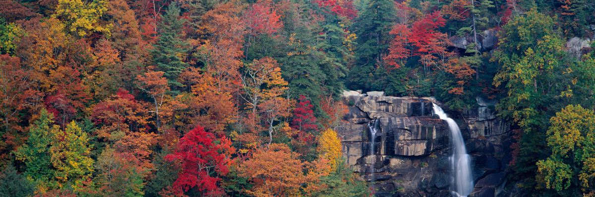 Whitewater Falls October Morning 3428
