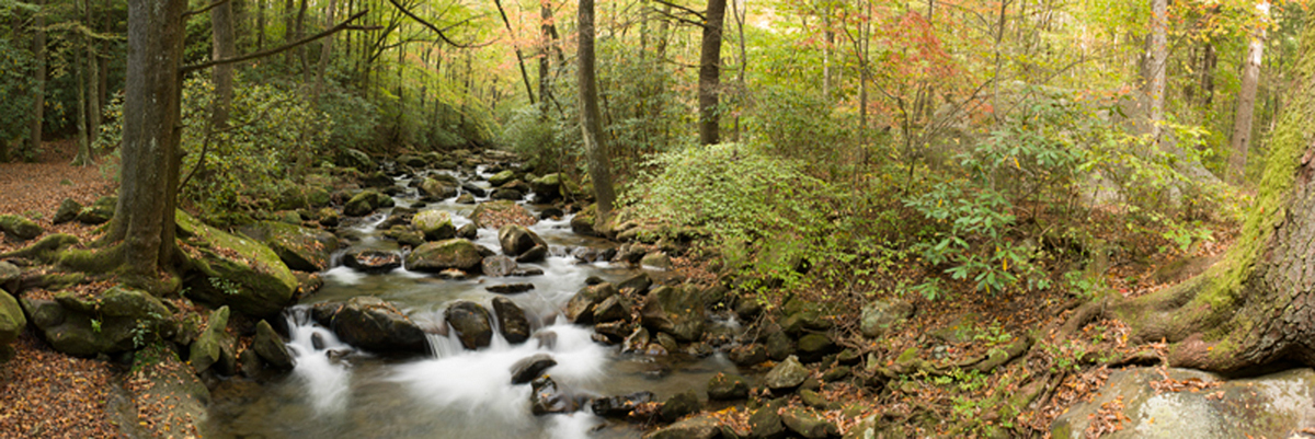 Autumn Stream 8105HD