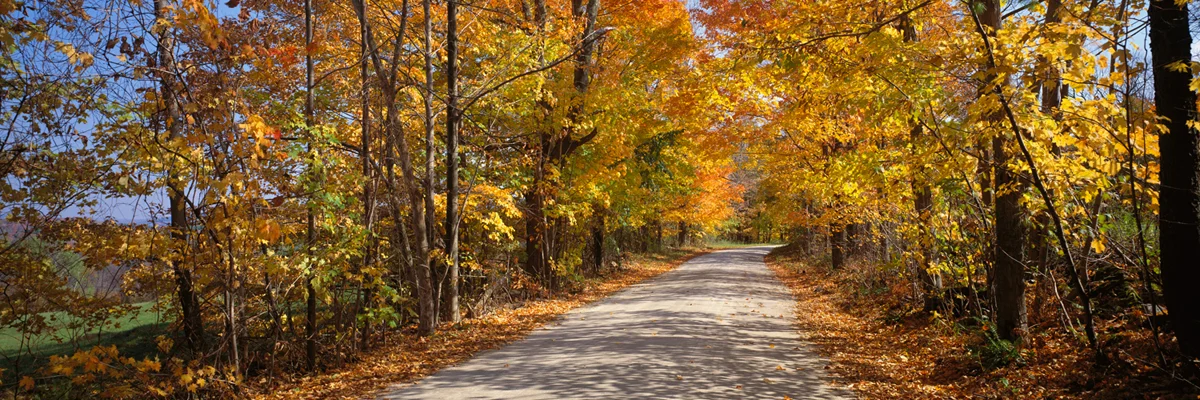 Country Roads - Vermont 7331