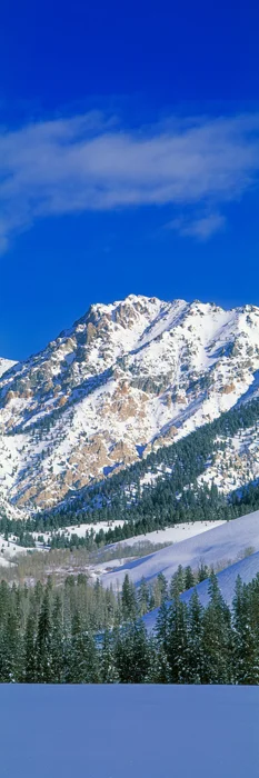 Mountainscape Vertical 3316